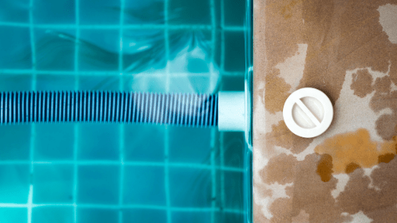 The 10 Best Pool Vacuum Options to Keep Your Pool Clean