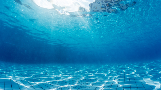 The 10 Best Algaecide Reviews