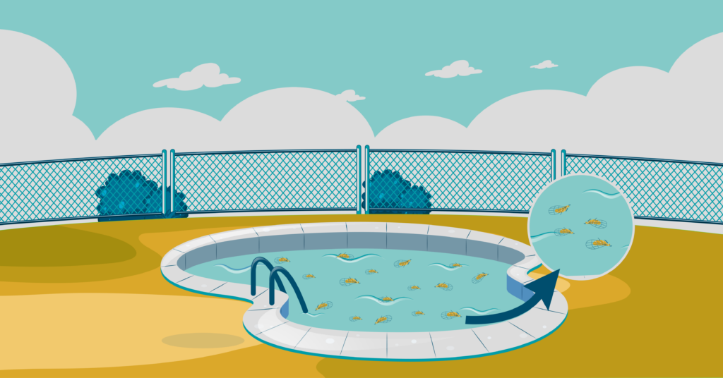 4 Ways to Get Rid of Water Bugs in Pool Water 9 water bugs in pool