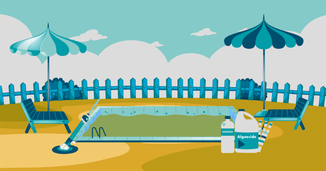 The 10 Best Algaecide Reviews Pool Care School