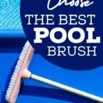 best-pool-brush-pool-cleaning-swimming-pool-maintenance