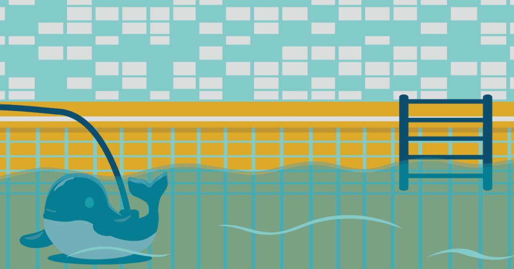 Wanda the Whale: What You Need to Know 8 wanda the whale