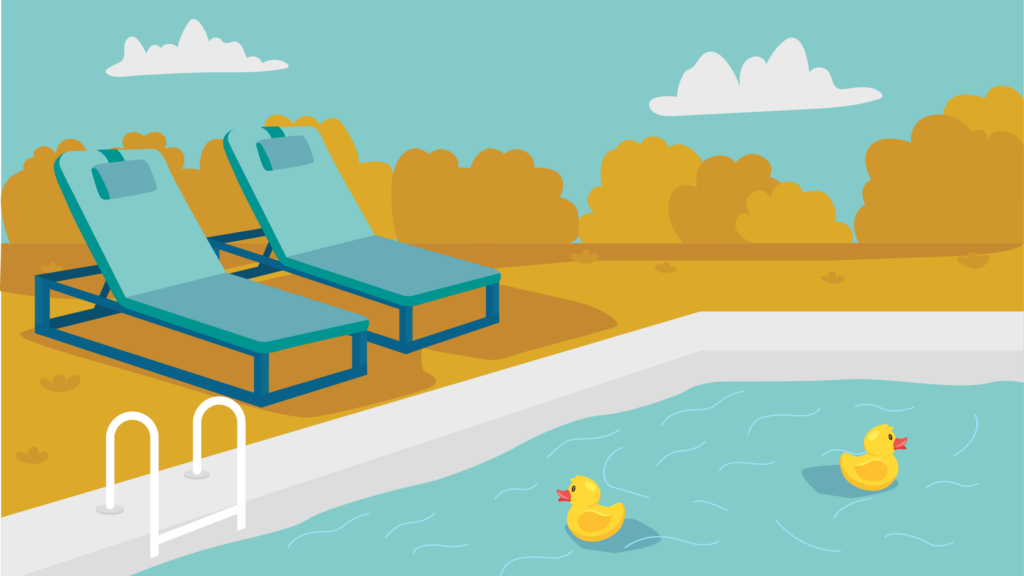 How to Keep Ducks Out of Pool: Effective Methods and Tips 2 how to keep ducks out of pool